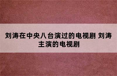 刘涛在中央八台演过的电视剧 刘涛主演的电视剧